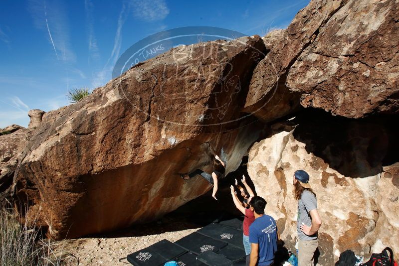 

Filename: SRM_20191109_1158100.jpg
Aperture: f/9.0
Shutter Speed: 1/250
Body: Canon EOS-1D Mark II
Lens: Canon EF 16-35mm f/2.8 L