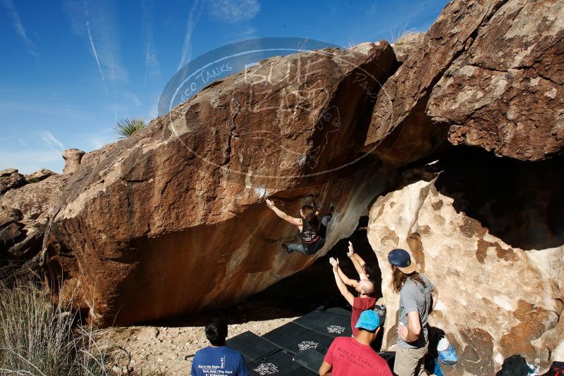 

Filename: SRM_20191109_1158280.jpg
Aperture: f/9.0
Shutter Speed: 1/250
Body: Canon EOS-1D Mark II
Lens: Canon EF 16-35mm f/2.8 L