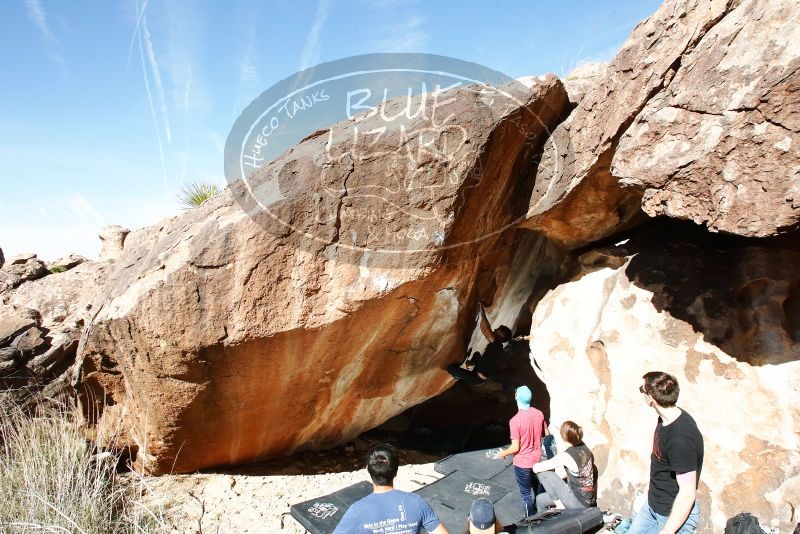 

Filename: SRM_20191109_1201070.jpg
Aperture: f/9.0
Shutter Speed: 1/160
Body: Canon EOS-1D Mark II
Lens: Canon EF 16-35mm f/2.8 L