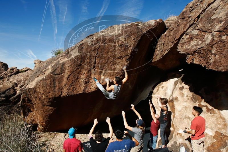 

Filename: SRM_20191109_1203150.jpg
Aperture: f/9.0
Shutter Speed: 1/250
Body: Canon EOS-1D Mark II
Lens: Canon EF 16-35mm f/2.8 L