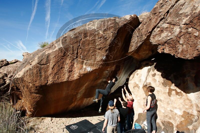 

Filename: SRM_20191109_1207540.jpg
Aperture: f/8.0
Shutter Speed: 1/250
Body: Canon EOS-1D Mark II
Lens: Canon EF 16-35mm f/2.8 L