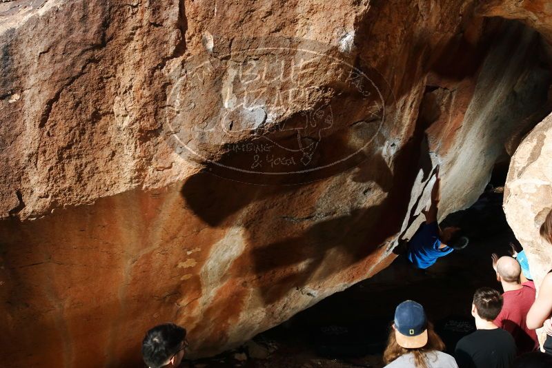 

Filename: SRM_20191109_1209000.jpg
Aperture: f/8.0
Shutter Speed: 1/250
Body: Canon EOS-1D Mark II
Lens: Canon EF 16-35mm f/2.8 L