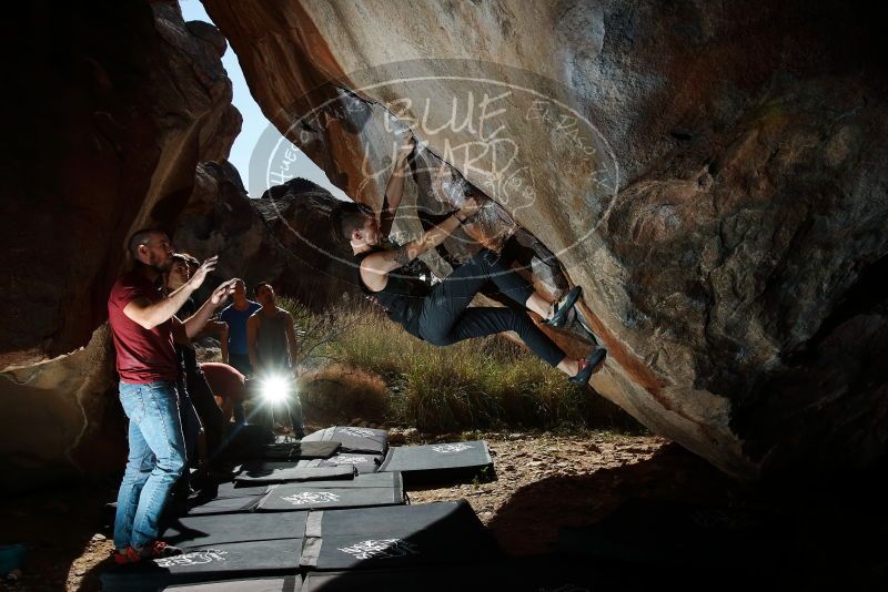 

Filename: SRM_20191109_1215290.jpg
Aperture: f/8.0
Shutter Speed: 1/250
Body: Canon EOS-1D Mark II
Lens: Canon EF 16-35mm f/2.8 L