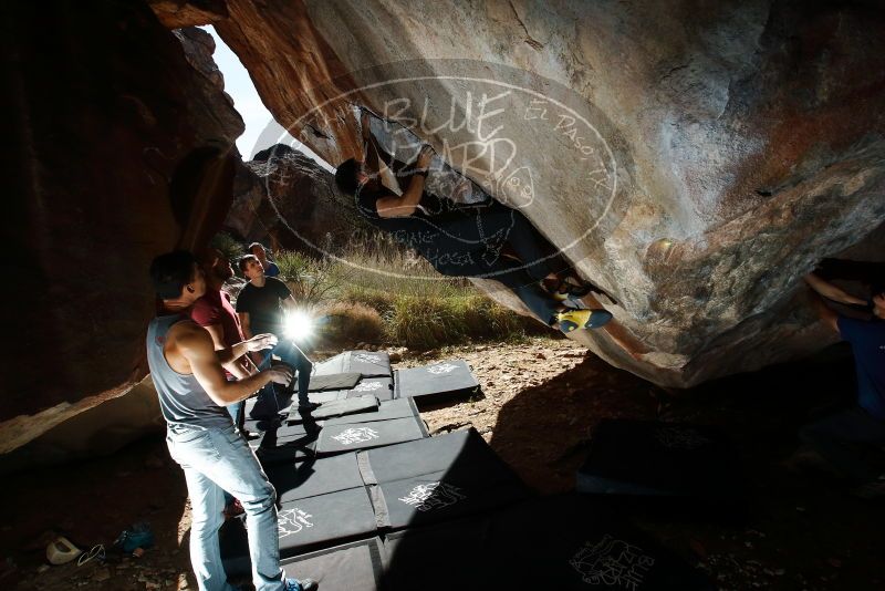 

Filename: SRM_20191109_1218320.jpg
Aperture: f/8.0
Shutter Speed: 1/250
Body: Canon EOS-1D Mark II
Lens: Canon EF 16-35mm f/2.8 L