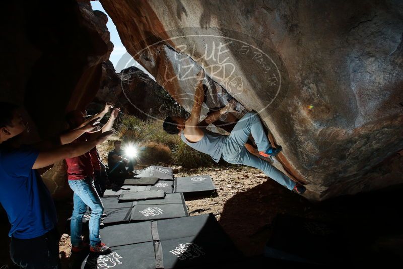 

Filename: SRM_20191109_1218560.jpg
Aperture: f/8.0
Shutter Speed: 1/250
Body: Canon EOS-1D Mark II
Lens: Canon EF 16-35mm f/2.8 L