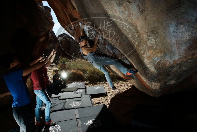 

Filename: SRM_20191109_1219000.jpg
Aperture: f/8.0
Shutter Speed: 1/250
Body: Canon EOS-1D Mark II
Lens: Canon EF 16-35mm f/2.8 L