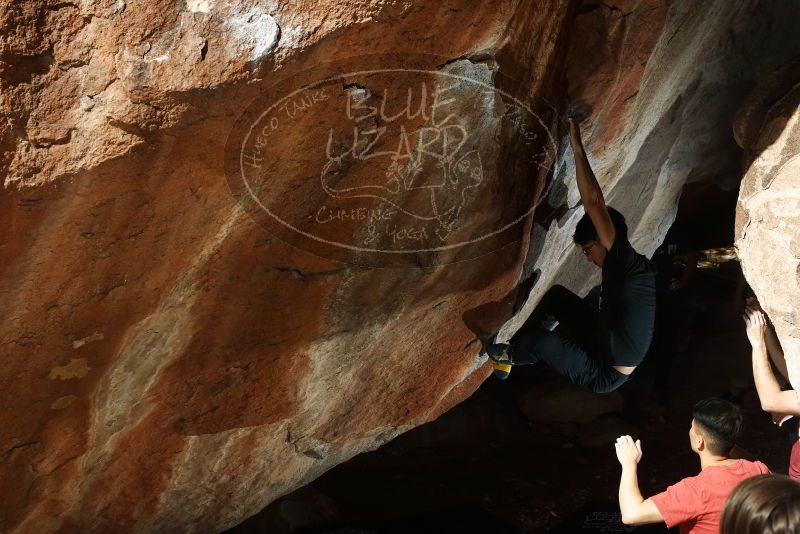 

Filename: SRM_20191109_1223350.jpg
Aperture: f/8.0
Shutter Speed: 1/250
Body: Canon EOS-1D Mark II
Lens: Canon EF 50mm f/1.8 II