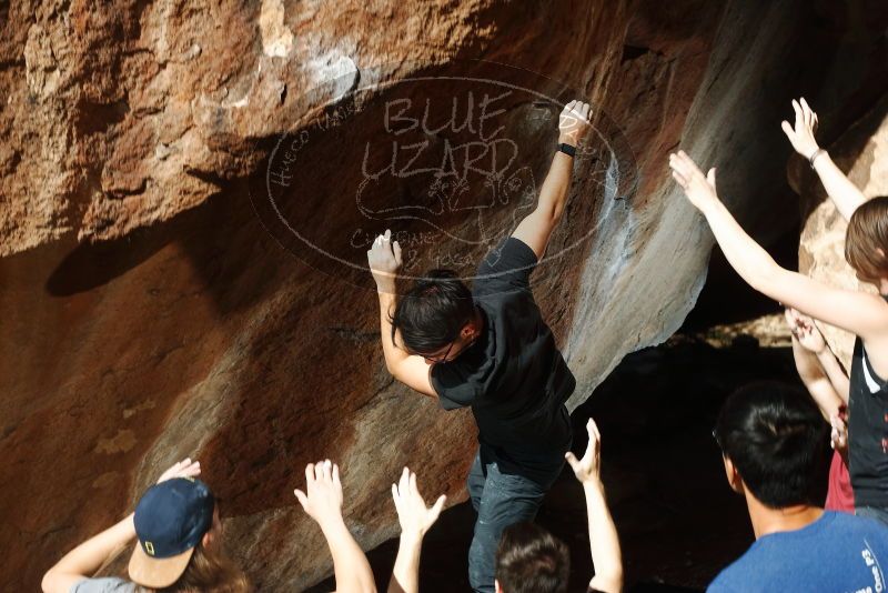 

Filename: SRM_20191109_1227170.jpg
Aperture: f/8.0
Shutter Speed: 1/250
Body: Canon EOS-1D Mark II
Lens: Canon EF 50mm f/1.8 II