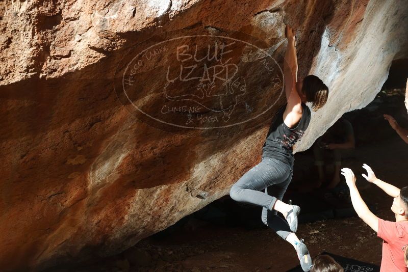 

Filename: SRM_20191109_1231080.jpg
Aperture: f/5.6
Shutter Speed: 1/250
Body: Canon EOS-1D Mark II
Lens: Canon EF 50mm f/1.8 II