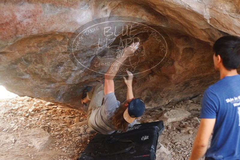 

Filename: SRM_20191109_1249380.jpg
Aperture: f/2.8
Shutter Speed: 1/250
Body: Canon EOS-1D Mark II
Lens: Canon EF 50mm f/1.8 II