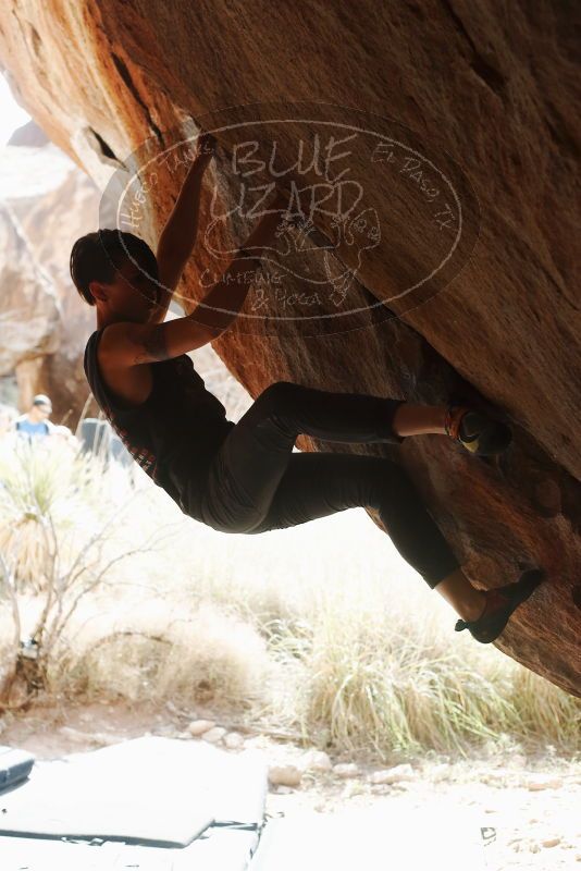 

Filename: SRM_20191109_1250580.jpg
Aperture: f/4.0
Shutter Speed: 1/320
Body: Canon EOS-1D Mark II
Lens: Canon EF 50mm f/1.8 II