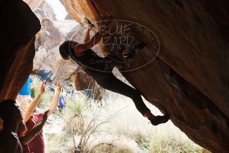 

Filename: SRM_20191109_1251090.jpg
Aperture: f/4.0
Shutter Speed: 1/500
Body: Canon EOS-1D Mark II
Lens: Canon EF 50mm f/1.8 II