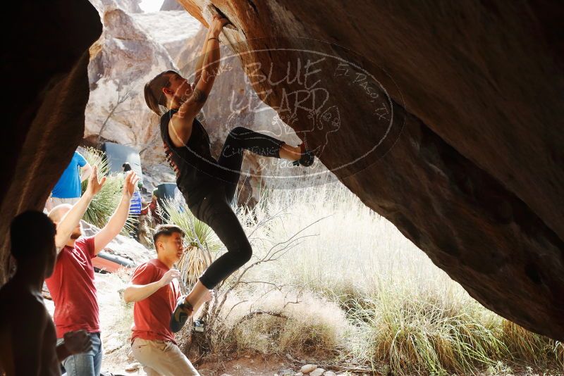 

Filename: SRM_20191109_1251170.jpg
Aperture: f/4.0
Shutter Speed: 1/640
Body: Canon EOS-1D Mark II
Lens: Canon EF 50mm f/1.8 II