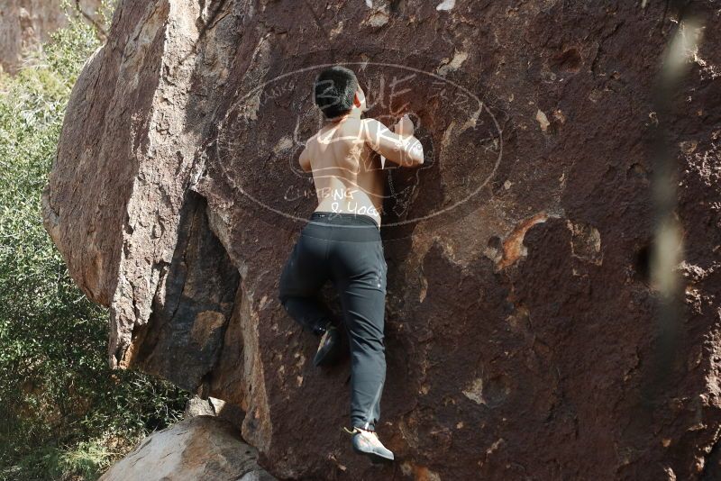 

Filename: SRM_20191109_1312340.jpg
Aperture: f/4.0
Shutter Speed: 1/400
Body: Canon EOS-1D Mark II
Lens: Canon EF 50mm f/1.8 II