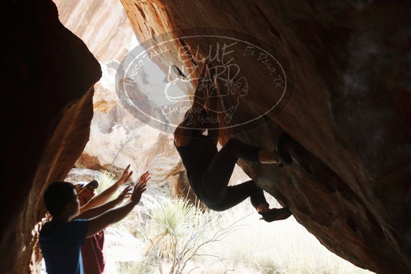 

Filename: SRM_20191109_1321300.jpg
Aperture: f/2.8
Shutter Speed: 1/320
Body: Canon EOS-1D Mark II
Lens: Canon EF 50mm f/1.8 II