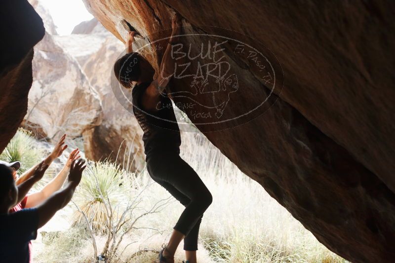 

Filename: SRM_20191109_1321400.jpg
Aperture: f/2.8
Shutter Speed: 1/400
Body: Canon EOS-1D Mark II
Lens: Canon EF 50mm f/1.8 II