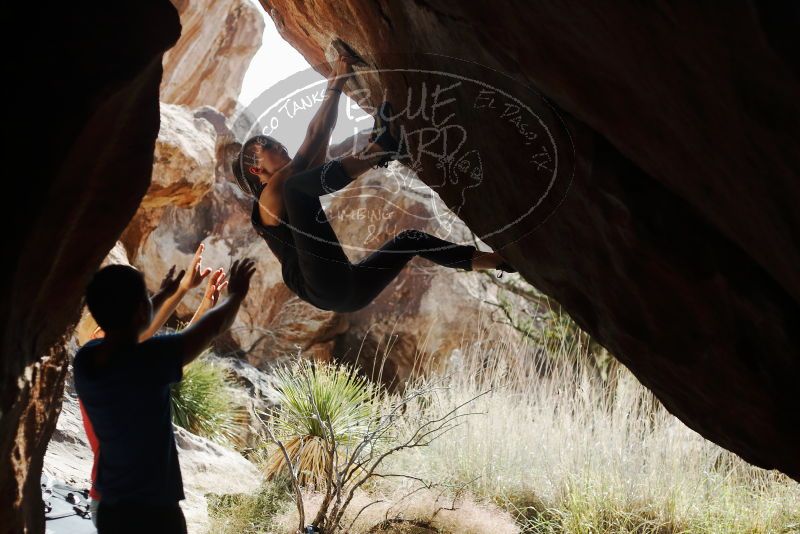 

Filename: SRM_20191109_1321450.jpg
Aperture: f/2.8
Shutter Speed: 1/1250
Body: Canon EOS-1D Mark II
Lens: Canon EF 50mm f/1.8 II