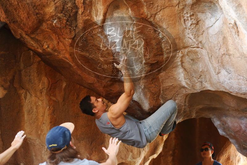 

Filename: SRM_20191109_1332210.jpg
Aperture: f/2.8
Shutter Speed: 1/320
Body: Canon EOS-1D Mark II
Lens: Canon EF 50mm f/1.8 II