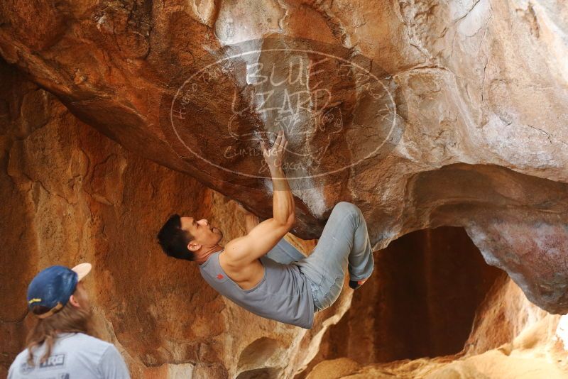 

Filename: SRM_20191109_1343090.jpg
Aperture: f/2.8
Shutter Speed: 1/320
Body: Canon EOS-1D Mark II
Lens: Canon EF 50mm f/1.8 II