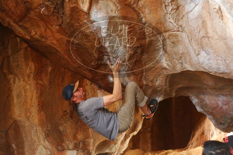 

Filename: SRM_20191109_1343460.jpg
Aperture: f/2.8
Shutter Speed: 1/400
Body: Canon EOS-1D Mark II
Lens: Canon EF 50mm f/1.8 II