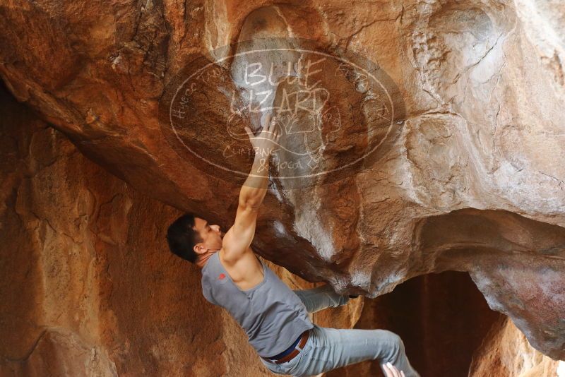 

Filename: SRM_20191109_1346550.jpg
Aperture: f/2.8
Shutter Speed: 1/320
Body: Canon EOS-1D Mark II
Lens: Canon EF 50mm f/1.8 II