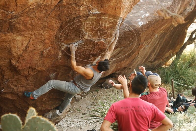 

Filename: SRM_20191109_1444380.jpg
Aperture: f/4.0
Shutter Speed: 1/250
Body: Canon EOS-1D Mark II
Lens: Canon EF 50mm f/1.8 II