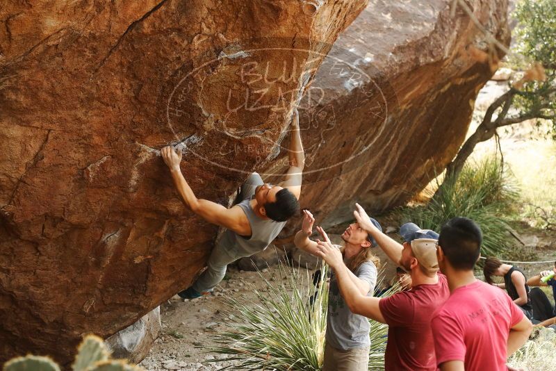 

Filename: SRM_20191109_1444431.jpg
Aperture: f/4.0
Shutter Speed: 1/320
Body: Canon EOS-1D Mark II
Lens: Canon EF 50mm f/1.8 II