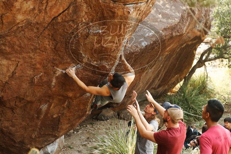 

Filename: SRM_20191109_1444470.jpg
Aperture: f/4.0
Shutter Speed: 1/250
Body: Canon EOS-1D Mark II
Lens: Canon EF 50mm f/1.8 II