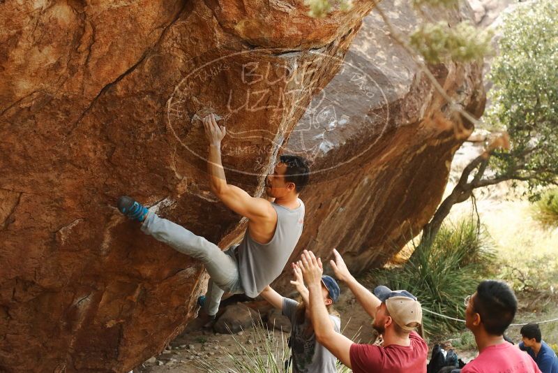 

Filename: SRM_20191109_1444490.jpg
Aperture: f/4.0
Shutter Speed: 1/320
Body: Canon EOS-1D Mark II
Lens: Canon EF 50mm f/1.8 II