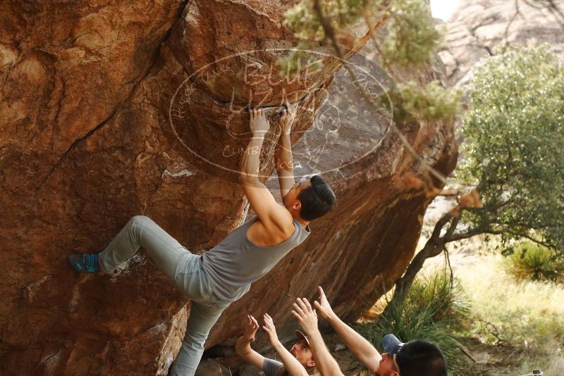 

Filename: SRM_20191109_1444560.jpg
Aperture: f/4.0
Shutter Speed: 1/400
Body: Canon EOS-1D Mark II
Lens: Canon EF 50mm f/1.8 II