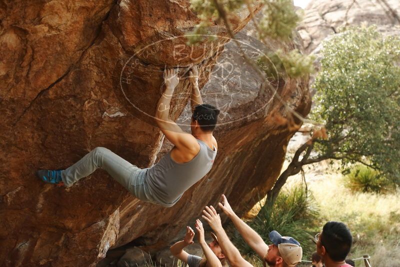 

Filename: SRM_20191109_1444580.jpg
Aperture: f/4.0
Shutter Speed: 1/400
Body: Canon EOS-1D Mark II
Lens: Canon EF 50mm f/1.8 II