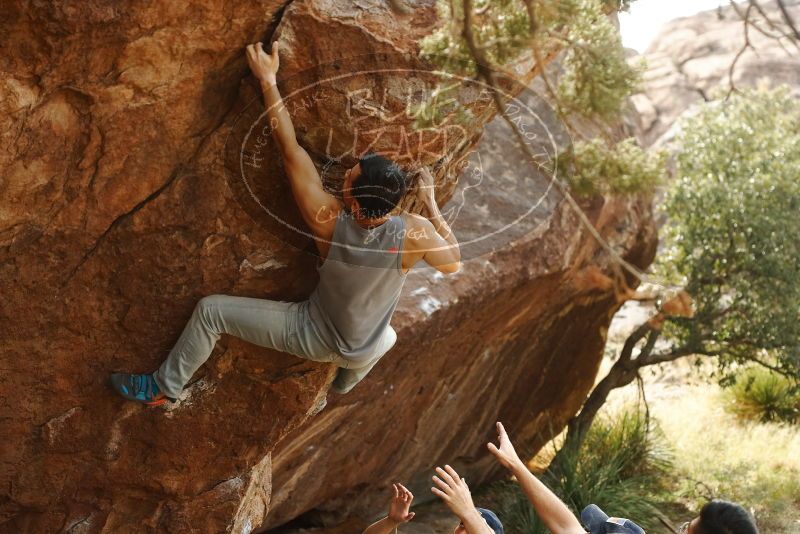 

Filename: SRM_20191109_1444590.jpg
Aperture: f/4.0
Shutter Speed: 1/400
Body: Canon EOS-1D Mark II
Lens: Canon EF 50mm f/1.8 II