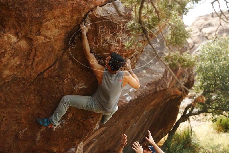 

Filename: SRM_20191109_1445000.jpg
Aperture: f/4.0
Shutter Speed: 1/400
Body: Canon EOS-1D Mark II
Lens: Canon EF 50mm f/1.8 II