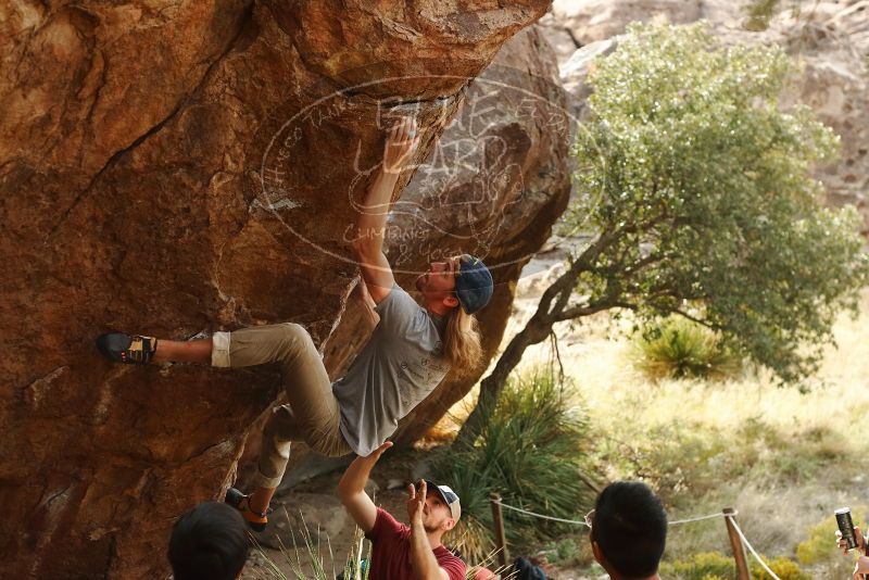 

Filename: SRM_20191109_1459410.jpg
Aperture: f/4.0
Shutter Speed: 1/400
Body: Canon EOS-1D Mark II
Lens: Canon EF 50mm f/1.8 II