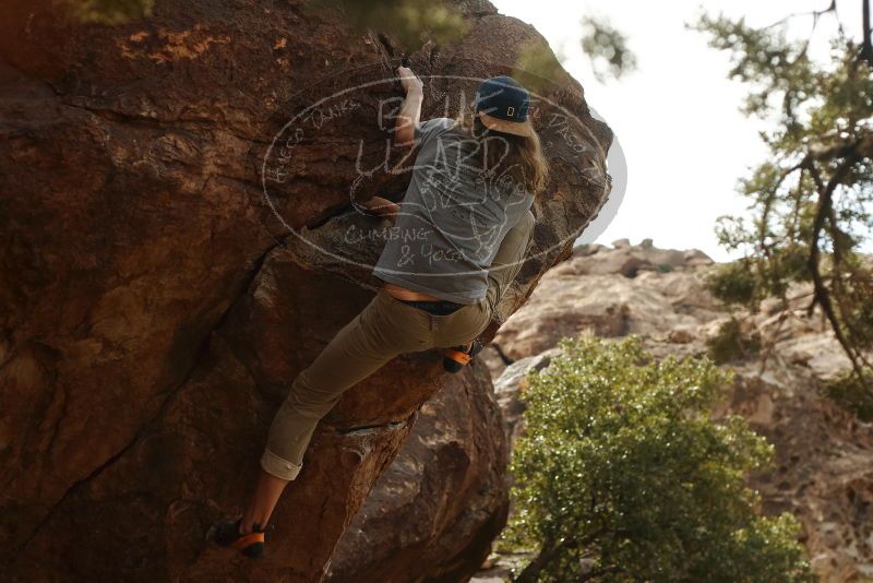 

Filename: SRM_20191109_1500120.jpg
Aperture: f/4.0
Shutter Speed: 1/1000
Body: Canon EOS-1D Mark II
Lens: Canon EF 50mm f/1.8 II