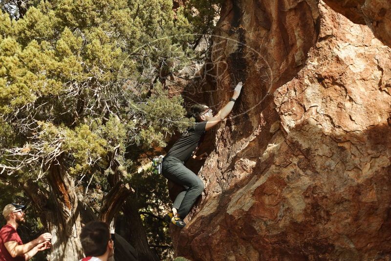 

Filename: SRM_20191109_1517080.jpg
Aperture: f/4.0
Shutter Speed: 1/1000
Body: Canon EOS-1D Mark II
Lens: Canon EF 50mm f/1.8 II