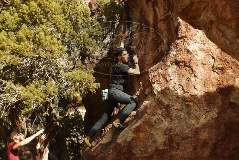 

Filename: SRM_20191109_1517230.jpg
Aperture: f/4.0
Shutter Speed: 1/1000
Body: Canon EOS-1D Mark II
Lens: Canon EF 50mm f/1.8 II