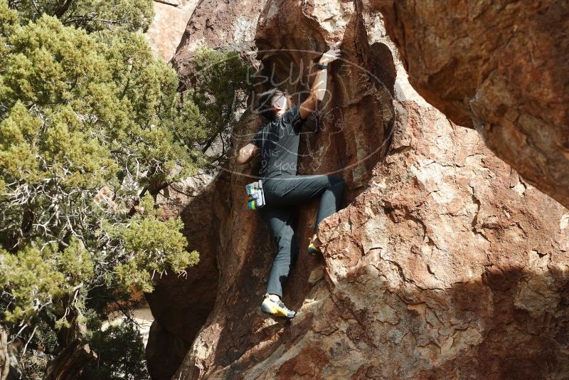 

Filename: SRM_20191109_1517320.jpg
Aperture: f/4.0
Shutter Speed: 1/1000
Body: Canon EOS-1D Mark II
Lens: Canon EF 50mm f/1.8 II