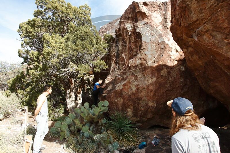 

Filename: SRM_20191109_1527200.jpg
Aperture: f/5.6
Shutter Speed: 1/400
Body: Canon EOS-1D Mark II
Lens: Canon EF 16-35mm f/2.8 L