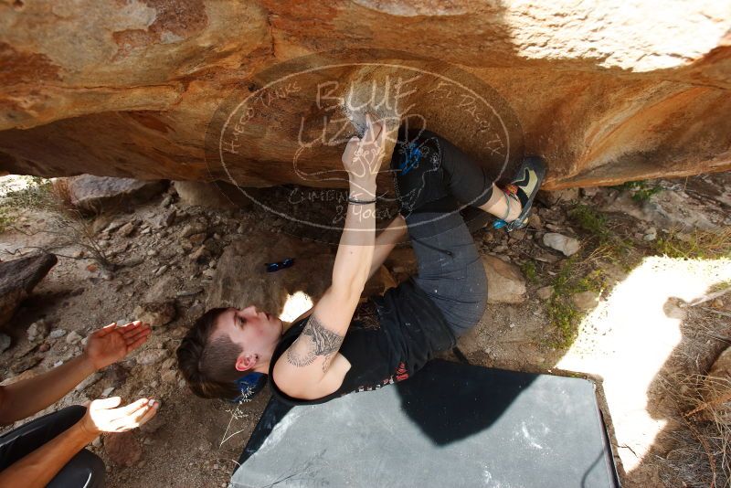 

Filename: SRM_20191109_1530310.jpg
Aperture: f/5.6
Shutter Speed: 1/160
Body: Canon EOS-1D Mark II
Lens: Canon EF 16-35mm f/2.8 L