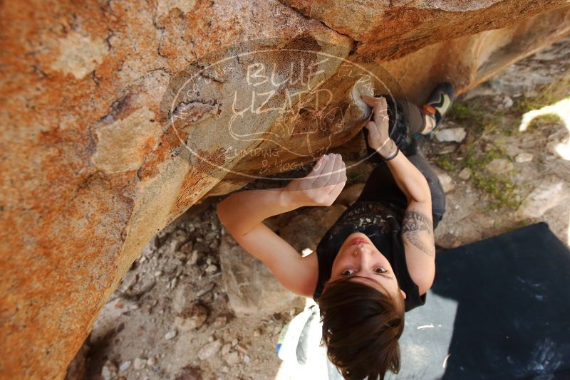 

Filename: SRM_20191109_1534050.jpg
Aperture: f/5.6
Shutter Speed: 1/200
Body: Canon EOS-1D Mark II
Lens: Canon EF 16-35mm f/2.8 L