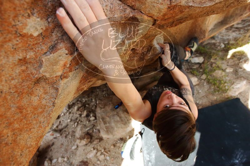 

Filename: SRM_20191109_1534051.jpg
Aperture: f/5.6
Shutter Speed: 1/200
Body: Canon EOS-1D Mark II
Lens: Canon EF 16-35mm f/2.8 L