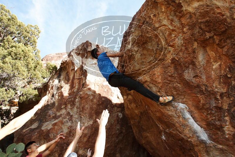 

Filename: SRM_20191109_1553130.jpg
Aperture: f/5.6
Shutter Speed: 1/500
Body: Canon EOS-1D Mark II
Lens: Canon EF 16-35mm f/2.8 L