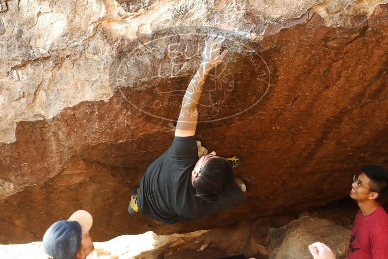 

Filename: SRM_20191109_1657410.jpg
Aperture: f/4.0
Shutter Speed: 1/500
Body: Canon EOS-1D Mark II
Lens: Canon EF 50mm f/1.8 II