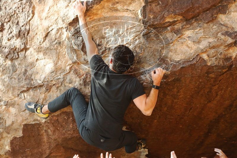 

Filename: SRM_20191109_1657570.jpg
Aperture: f/4.0
Shutter Speed: 1/640
Body: Canon EOS-1D Mark II
Lens: Canon EF 50mm f/1.8 II