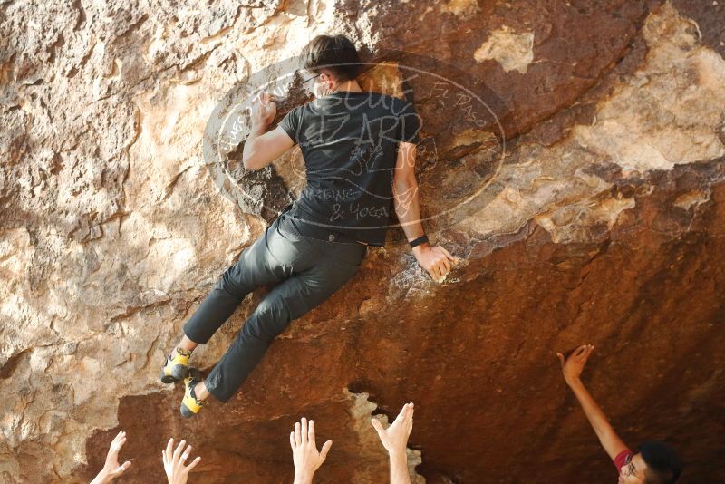 

Filename: SRM_20191109_1658130.jpg
Aperture: f/4.0
Shutter Speed: 1/800
Body: Canon EOS-1D Mark II
Lens: Canon EF 50mm f/1.8 II