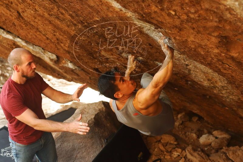 

Filename: SRM_20191109_1703150.jpg
Aperture: f/4.0
Shutter Speed: 1/320
Body: Canon EOS-1D Mark II
Lens: Canon EF 50mm f/1.8 II