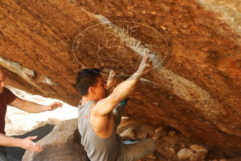 

Filename: SRM_20191109_1704420.jpg
Aperture: f/4.0
Shutter Speed: 1/320
Body: Canon EOS-1D Mark II
Lens: Canon EF 50mm f/1.8 II