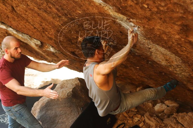 

Filename: SRM_20191109_1704421.jpg
Aperture: f/4.0
Shutter Speed: 1/400
Body: Canon EOS-1D Mark II
Lens: Canon EF 50mm f/1.8 II