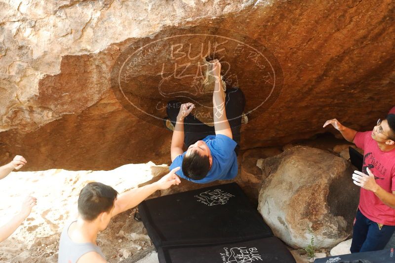 

Filename: SRM_20191109_1706130.jpg
Aperture: f/4.0
Shutter Speed: 1/500
Body: Canon EOS-1D Mark II
Lens: Canon EF 50mm f/1.8 II